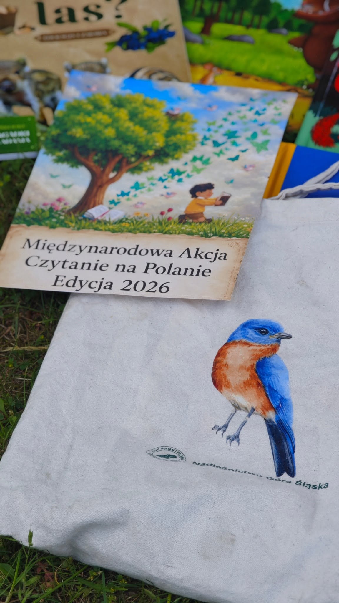 czytanie_na_polanie_3