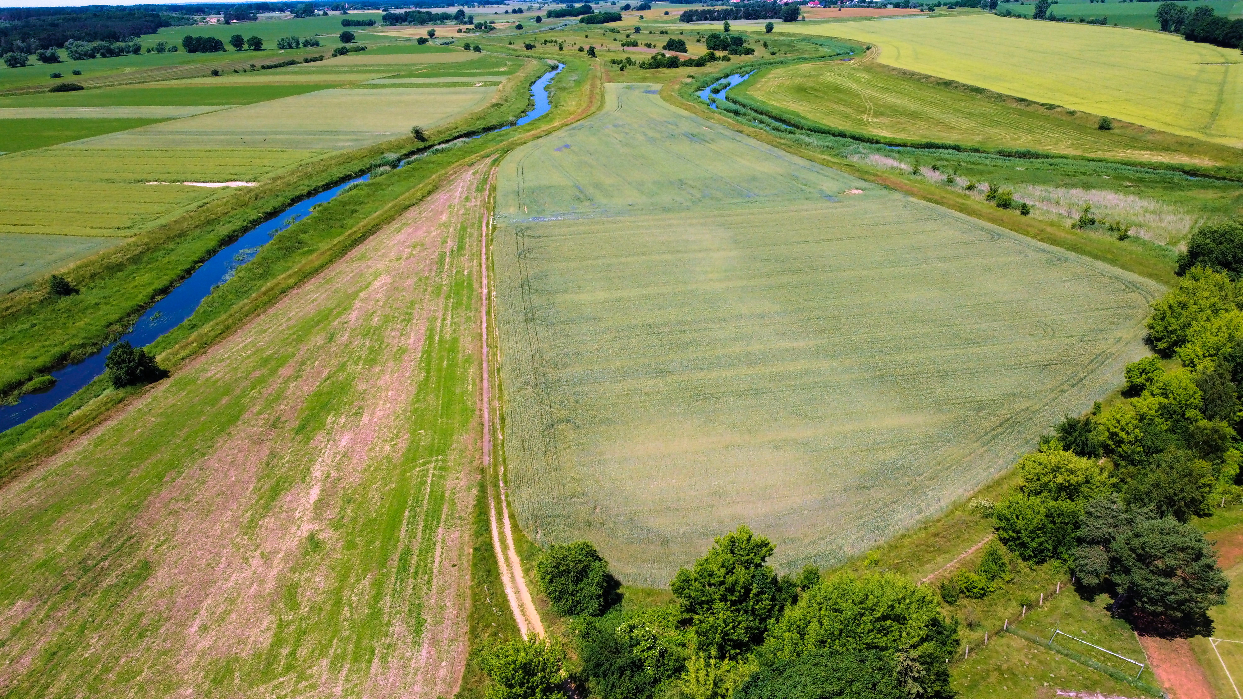 DJI_0625