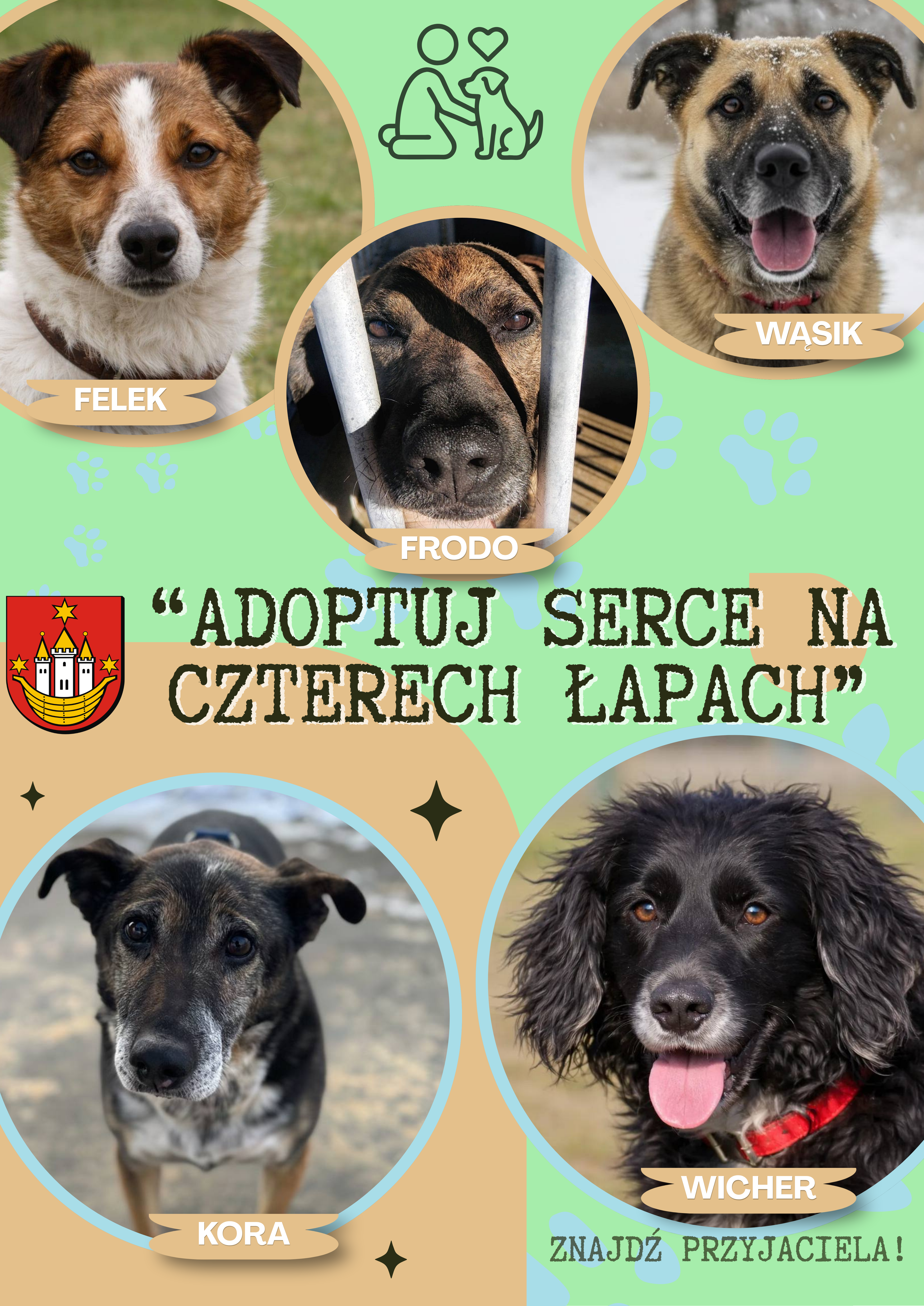 adoptuj psa na&nbsp;stronę internetową-(1)