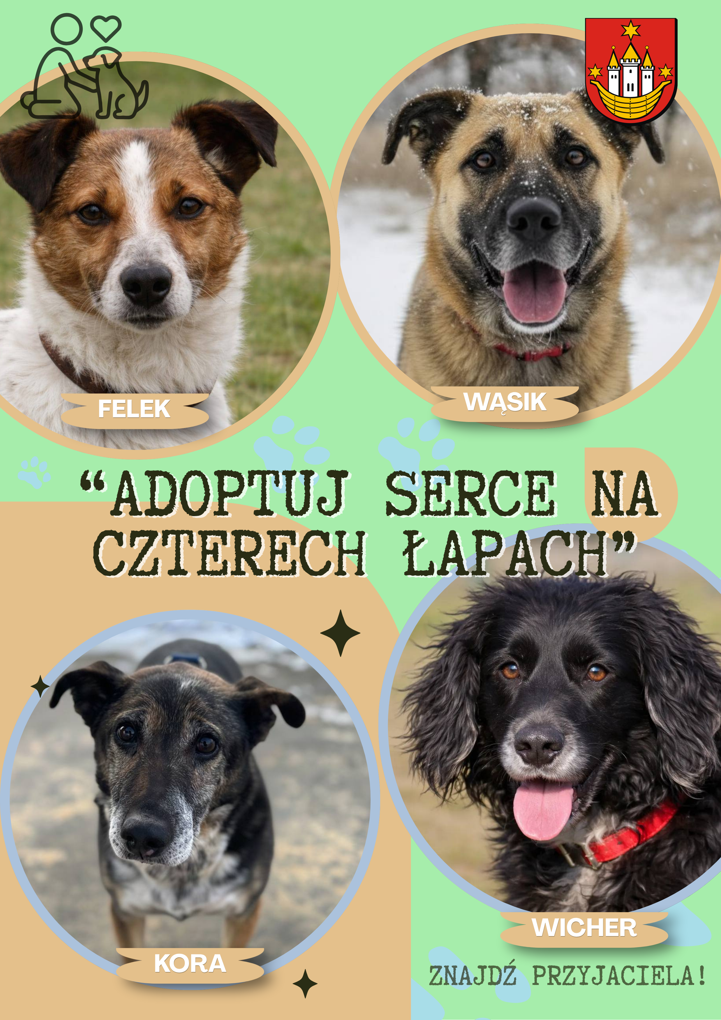 adoptuj psa na&nbsp;stronę internetową