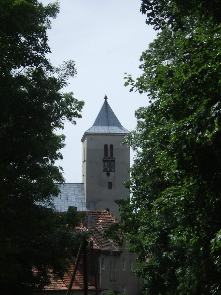 kości&oacute;ł_Niepokalanego_Serca_NMP_w_Wąsoszu_6
