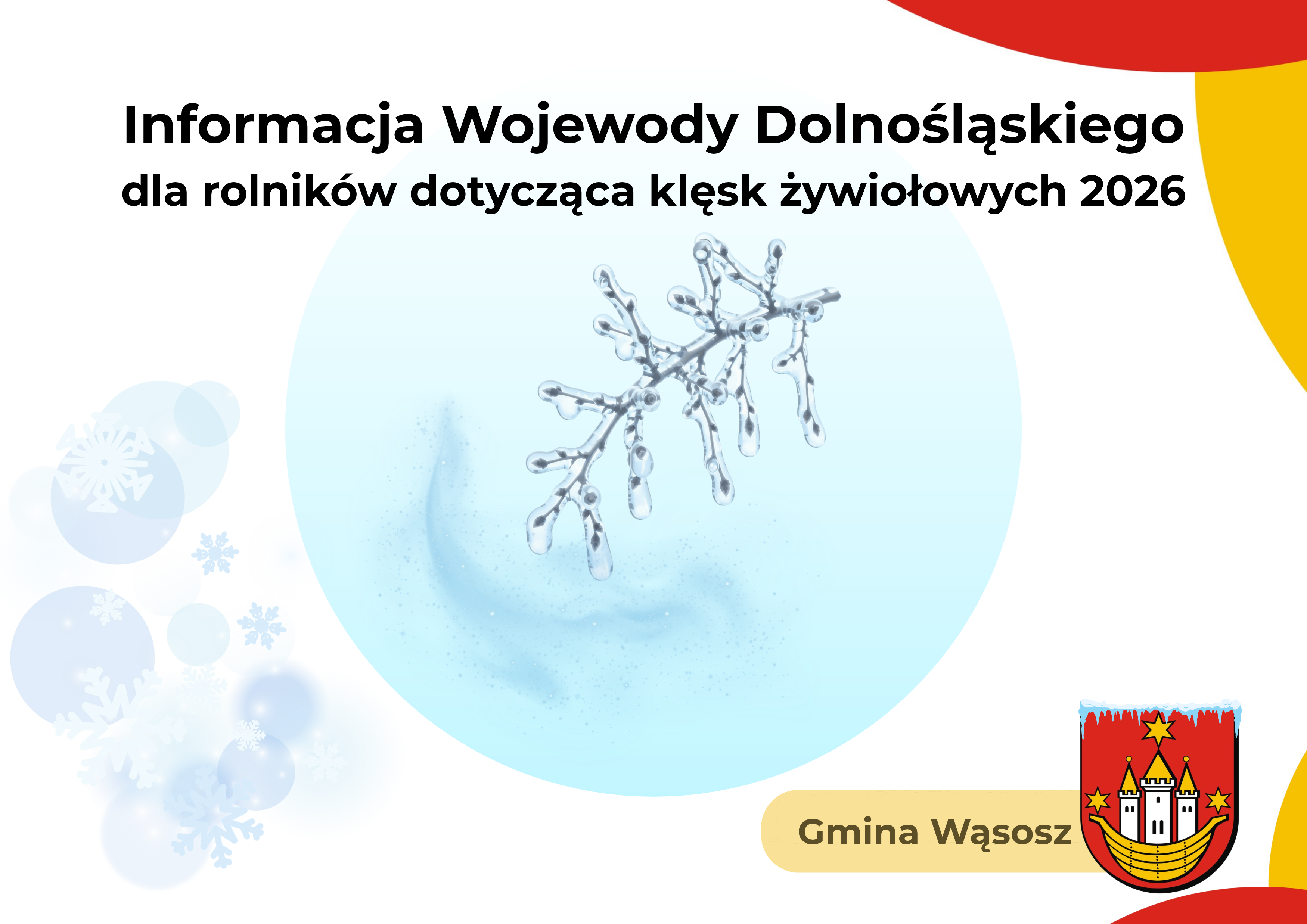przymrozki