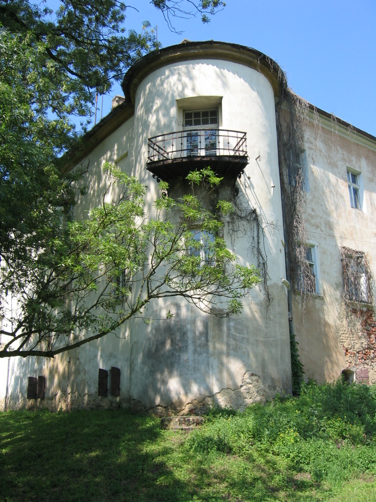 zamek_książęcy_w_Wąsoszu_3