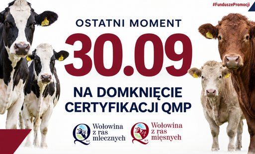 Certyfikat QMP — 30 września 2026 r.