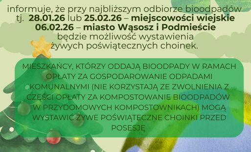 Odbiór żywych poświątecznych choinek