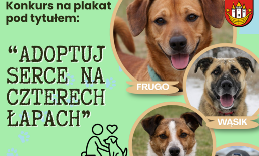 ,,Adoptuj Serce na Czterech Łapach"