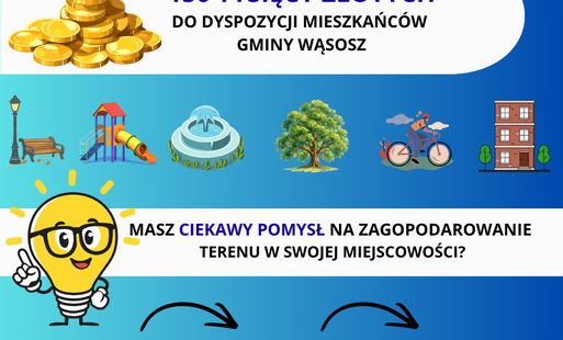  VIII edycja Budżetu Obywatelskiego gminy Wąsosz! 