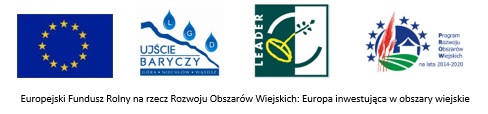 banner z logo funduszy europejskicj